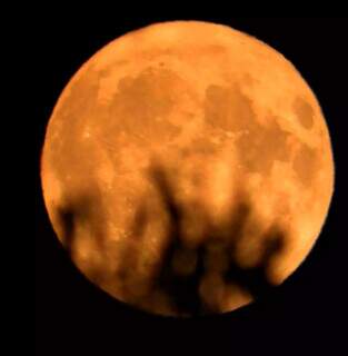 C&eacute;u de MS tem Lua dos Veados, cheia e com tom alaranjado nesta noite
