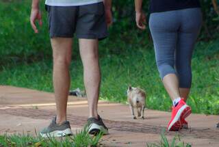 Deixar cachorro solto no Parque dos Poderes não é fofo, é irresponsável Deixar cachorro solto no Parque dos Poderes não é fofo, é irresponsável