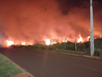 Inc&ecirc;ndio de grandes propor&ccedil;&otilde;es atinge &aacute;rea verde ap&oacute;s descarte irregular de lixo