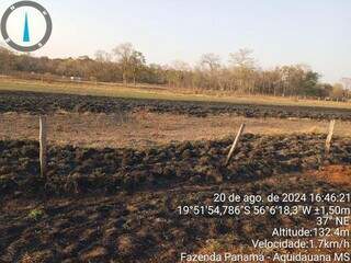 MP investiga inc&ecirc;ndio de 259 hectares em fazenda de Jamil Name Filho