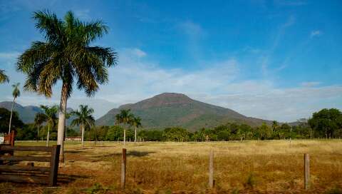 Governo pagar&aacute; at&eacute; R$ 100 mil anuais por conserva&ccedil;&atilde;o de &aacute;reas no Pantanal de MS