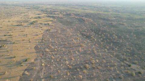 MP investiga inc&ecirc;ndio de 259 hectares em fazenda de Jamil Name Filho