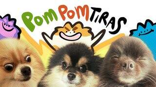 Julia transformou seus c&atilde;es Sushi, Shoyu e Sob&aacute; em quadrinhos 