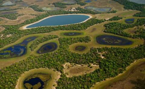 Estado deve publicar na quarta edital para pagar por preserva&ccedil;&atilde;o no Pantanal
