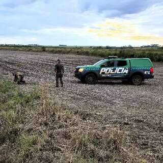 Fazendeiro &eacute; multado por desrespeitar embargo e ampliar dano ambiental