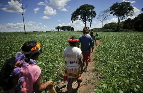 Comiss&atilde;o adia debate sobre liberar explora&ccedil;&atilde;o econ&ocirc;mica de terra ind&iacute;gena