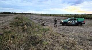 Fazendeiro &eacute; multado por desrespeitar embargo e ampliar dano ambiental