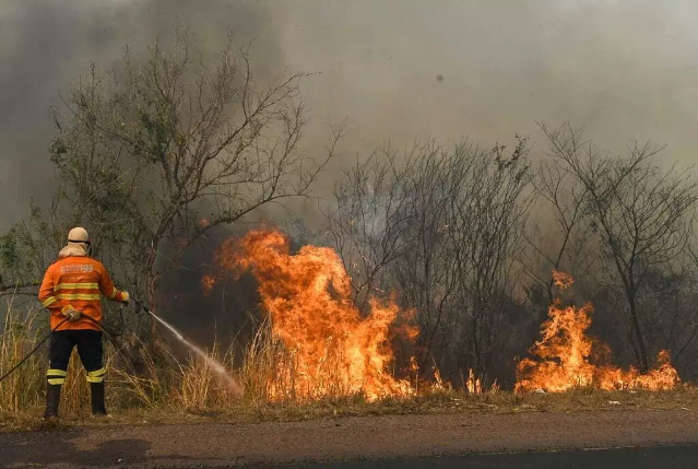 Pantanal registra queda de 97,9% nas queimadas, mas alerta para fogo segue alto