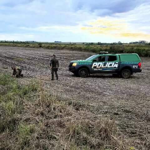 Fazendeiro &eacute; multado por desrespeitar embargo e ampliar dano ambiental