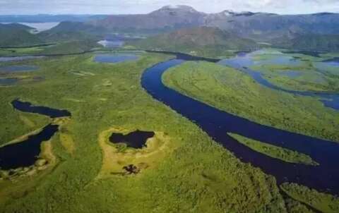 Revista dos EUA re&uacute;ne 100 cientistas e apresenta roteiro para salvar o Pantanal