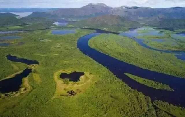 Revista dos EUA re&uacute;ne 100 cientistas e apresenta roteiro para salvar o Pantanal