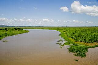 Mudança em licença ambiental pode impactar de imediato 5 áreas em MS Mudança em licença ambiental pode impactar de imediato 5 áreas em MS