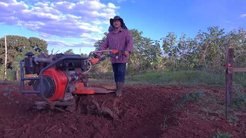 Agricultura familiar de MS j&aacute; vendeu R$ 5,1 milh&otilde;es por compras p&uacute;blicas