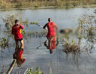 Homem &eacute; encontrado morto em c&oacute;rrego &agrave;s margens da MS-340