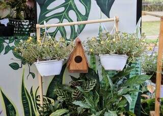  Ap&oacute;s 25 anos de arquitetura, Karla reinventa carreira com jardim m&oacute;vel