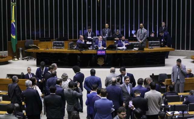 Com vota&ccedil;&atilde;o on line na madrugada, PL do desmatamento passa com 5 votos de MS