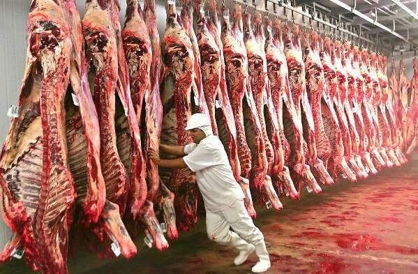 Frigor&iacute;ficos mant&eacute;m rotina de produ&ccedil;&atilde;o e apostam agora no mercado interno