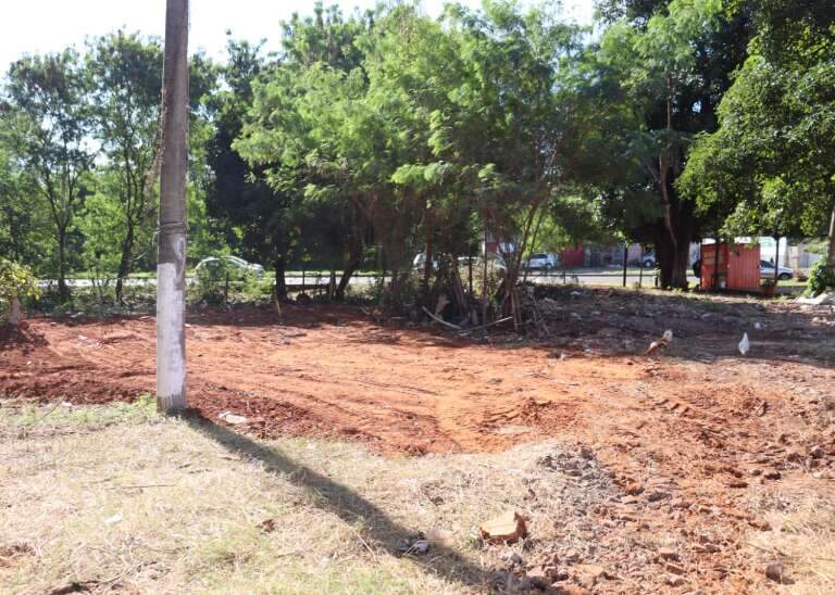 Campo Grande News
