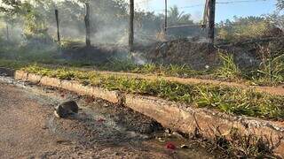 Temporada de queimadas come&ccedil;a e fuma&ccedil;a em bairro &eacute; vista a 10 km de dist&acirc;ncia