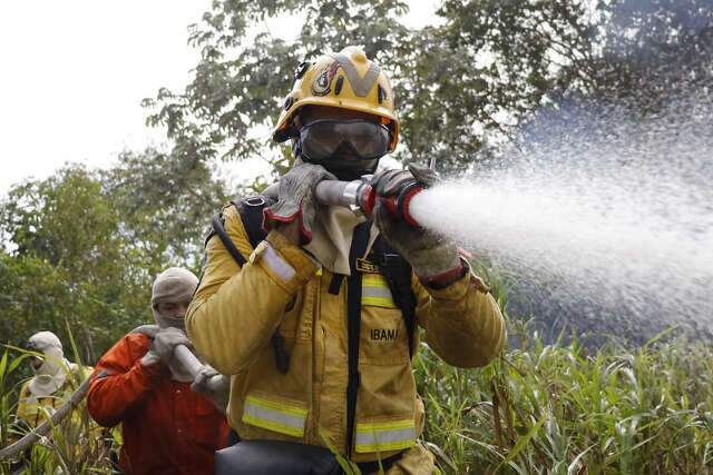 BNDES aprova R$ 150 milh&otilde;es para combater inc&ecirc;ndios no Cerrado e no Pantanal