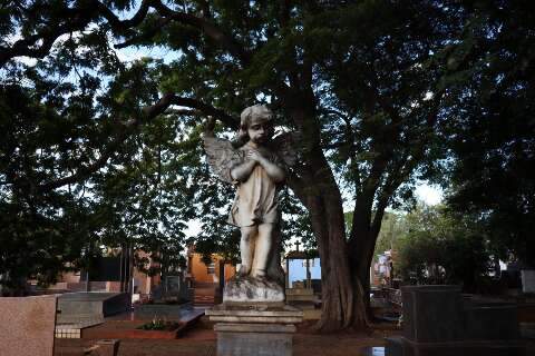 Cemit&eacute;rio Santo Ant&ocirc;nio promove encontro sobre luto parental