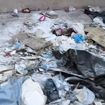 Esquecido h&aacute; 7 anos, terreno vira abrigo de ratos e ponto de drogas na Nhanh&aacute;