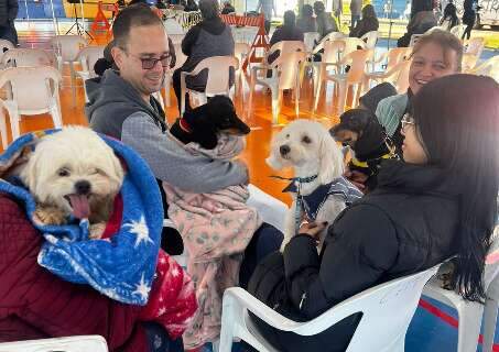 Projeto de castra&ccedil;&atilde;o do Estado j&aacute; atendeu mais de mil animais em tr&ecirc;s cidades