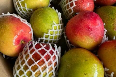 Hortali&ccedil;as ficam mais baratas e frutas registram alta na Ceasa