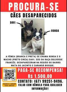 Recompensa &eacute; oferecida para encontrar Davi e Ronda, insepar&aacute;veis at&eacute; na fuga