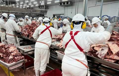 Frigor&iacute;ficos pressionam arroba e usam tarifa dos EUA como pretexto, diz Acrissul