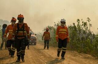 Pasta cria planos de resposta a desastres clim&aacute;ticos e inc&ecirc;ndios florestais
