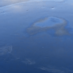 &Oacute;leo diesel desce pelo Rio Aquidauana e assusta moradores