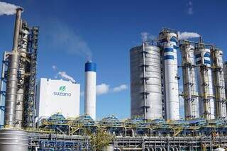 Suzano consolida projeto e reina entre os gigantes do "Vale da Celulose" Suzano consolida projeto e reina entre os gigantes do "Vale da Celulose"
