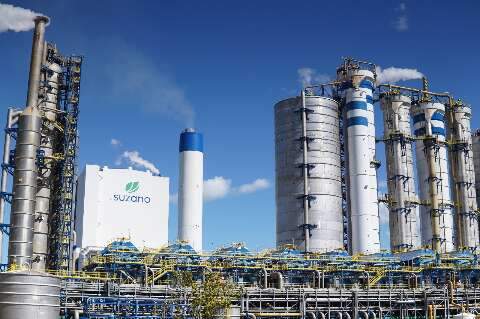 Suzano consolida projeto e reina entre os gigantes do &quot;Vale da Celulose&quot;