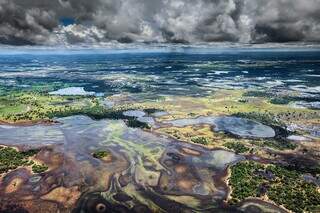 Beleza e trag&eacute;dia no Pantanal ocupam o Museu do Amanh&atilde; no Rio de Janeiro