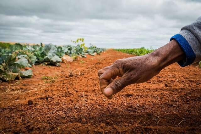 Instrumentos jur&iacute;dicos para a redu&ccedil;&atilde;o do endividamento rural 