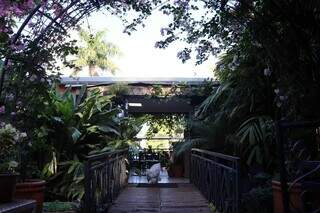 Cafeteria escondida em floricultura surpreende e tem jatob&aacute; de 250 anos