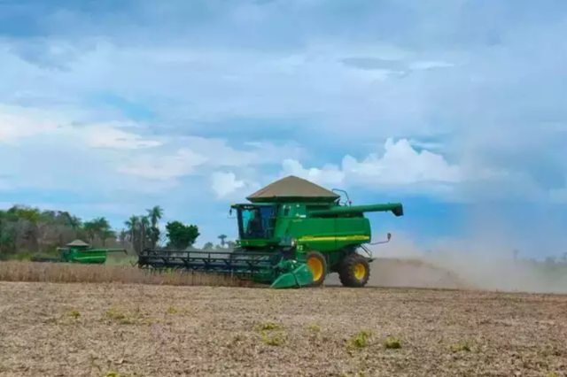 Recupera&ccedil;&atilde;o judicial ajuda produtor rural na reestrutura&ccedil;&atilde;o 