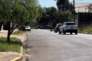 Ap&oacute;s andar 6 km soltos pelas ruas, burro e mula s&atilde;o resgatados pelo CCZ