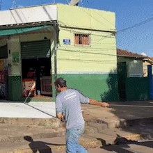 Ap&oacute;s andar 6 km soltos pelas ruas, burro e mula s&atilde;o resgatados pelo CCZ