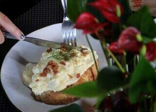 Cafeteria escondida em floricultura surpreende e tem jatobá de 250 anos Cafeteria escondida em floricultura surpreende e tem jatobá de 250 anos