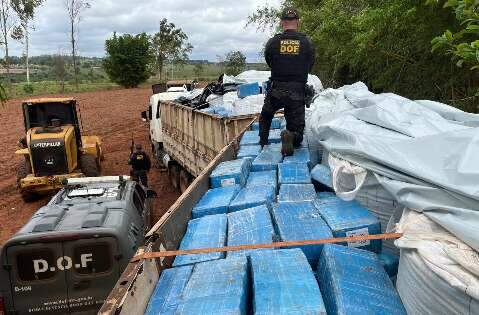 MS &eacute; o 3&ordm; estado que mais apreendeu maconha em 2024