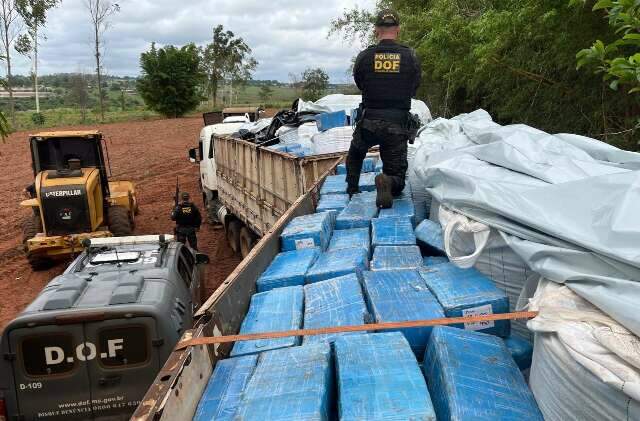 MS &eacute; o 3&ordm; estado que mais apreendeu maconha em 2024