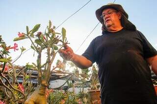 Valmir decidiu viver aposentadoria ao lado de 3 mil rosas-do-deserto