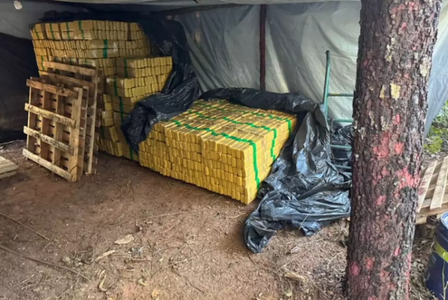 Dupla envolvida em acampamento com 8 toneladas de maconha &eacute; alvo da PF