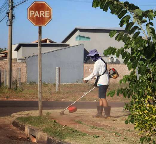 Cuidar do que &eacute; seu: propriet&aacute;rios d&atilde;o exemplo ao manter terrenos sempre limpos