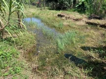 Justi&ccedil;a cobra prote&ccedil;&atilde;o a nascentes em risco no Jardim Canguru