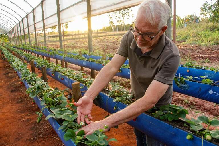 Campo Grande News