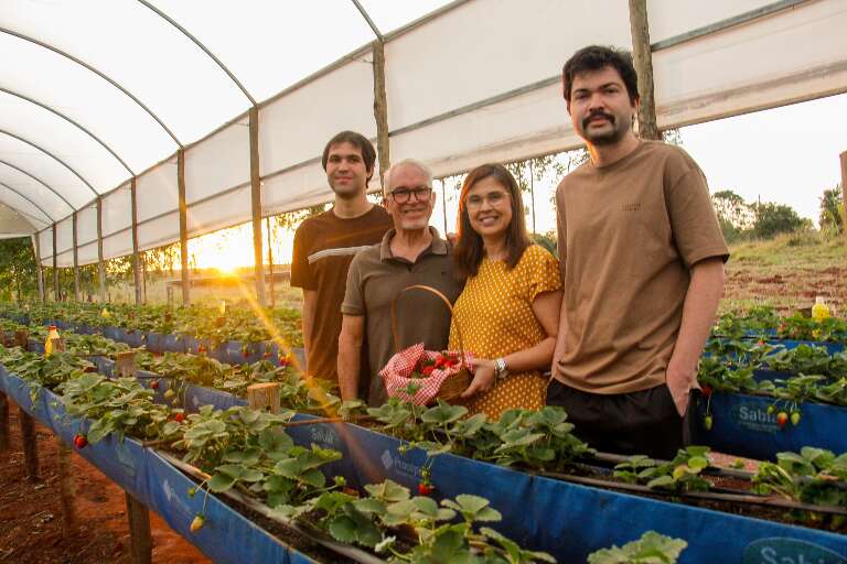 Campo Grande News