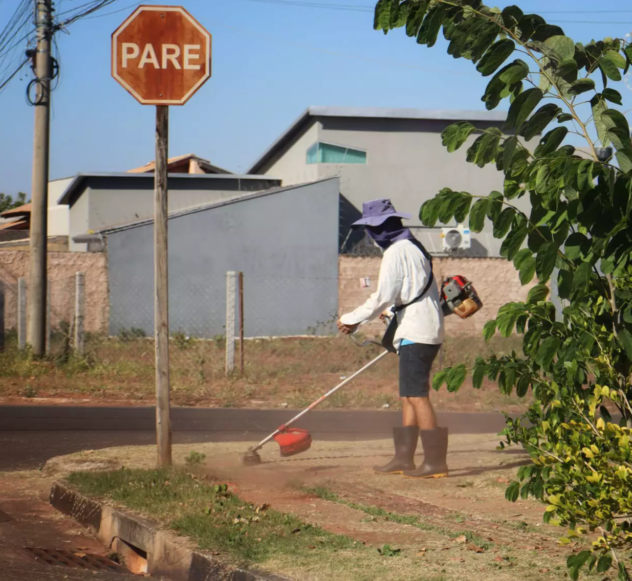 “Cuidar do que é seu”: proprietários dão exemplo ao manter terrenos sempre limpo